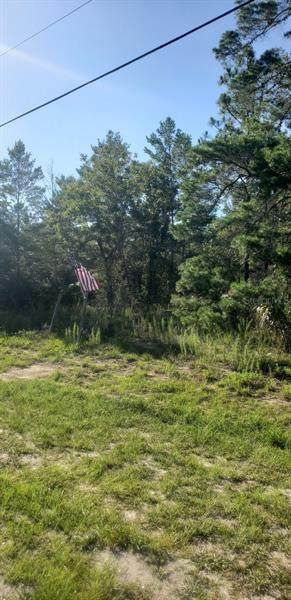 00 Centralia Road - Photo 1