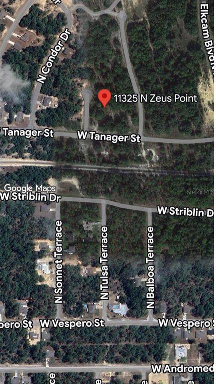 11325 Zeus Point - Photo 1