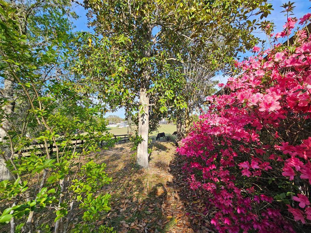 https://bt-photos.global.ssl.fastly.net/mfr/orig_boomver_2_W7879671-2.jpg