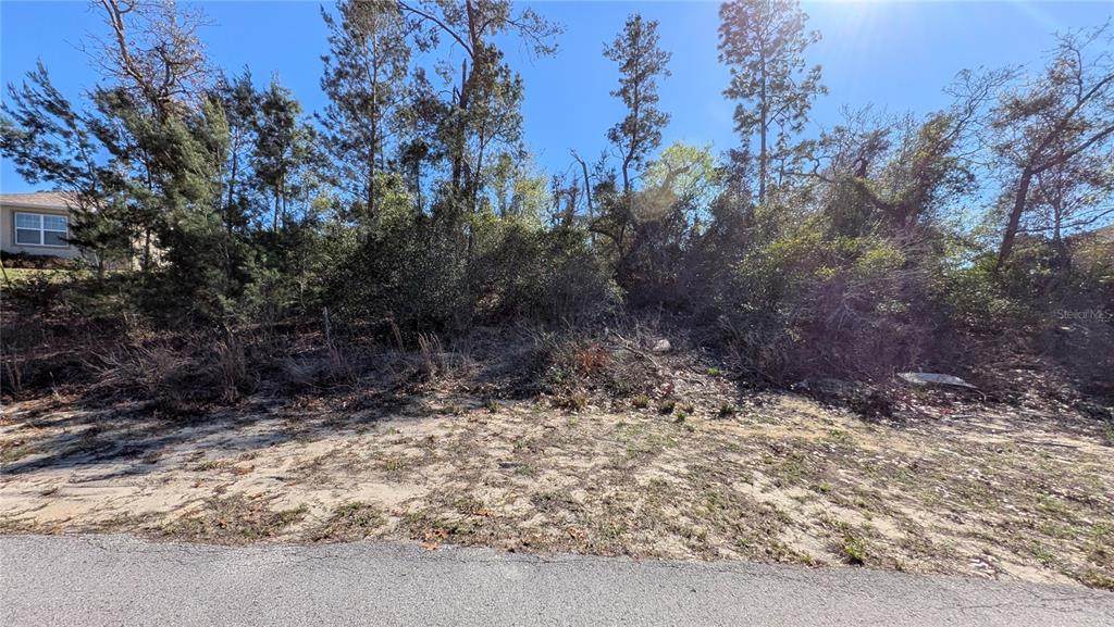 13014 Hanley Drive - Photo 1