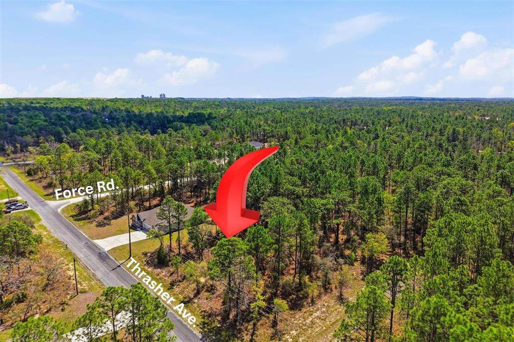 Lot 25 Thrasher Avenue - Photo 1