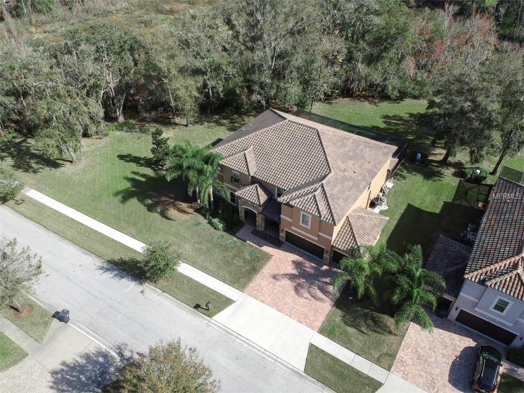 19815 Wellington Manor Boulevard - Photo 1