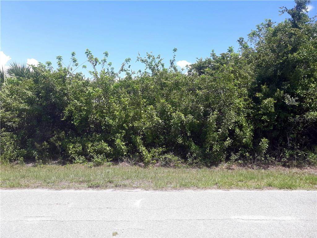 10020 Antrim Street - Photo 1