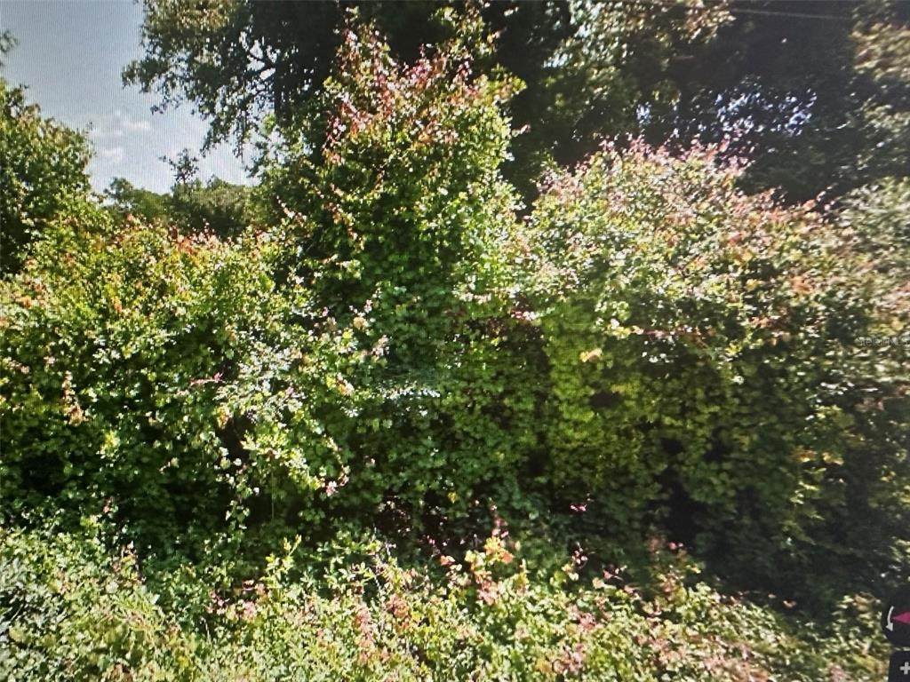  Malati Street - Photo 1