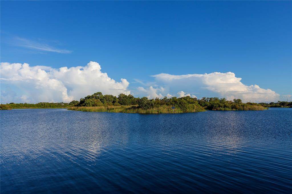 5730 Braden River Road - Photo 1