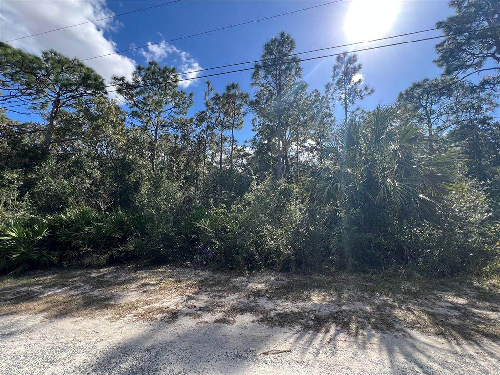 5650 Kettle Lane - Photo 1