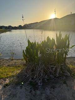 https://bt-photos.global.ssl.fastly.net/mfr/orig_boomver_3_A4650956-2.jpg