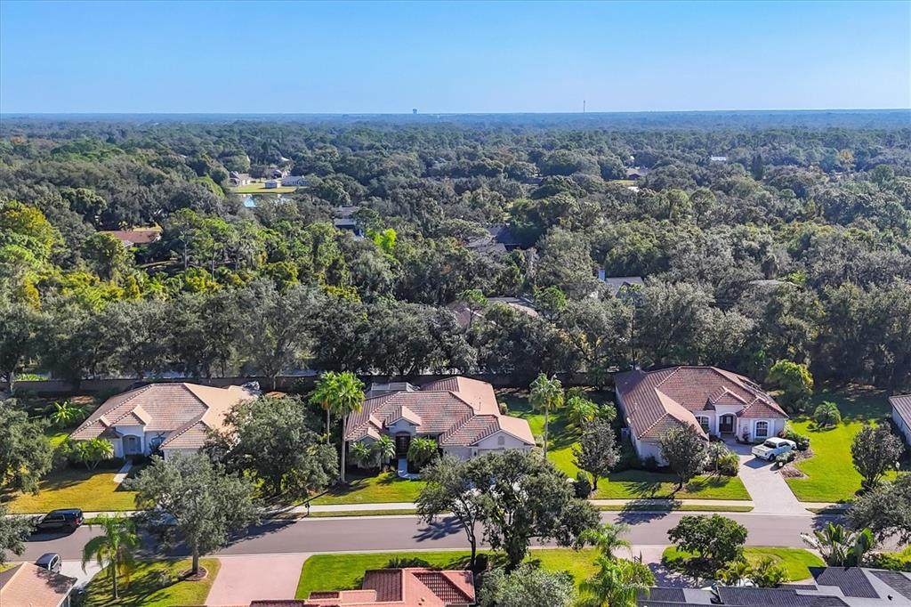 13046 Peregrin Circle - Photo 1