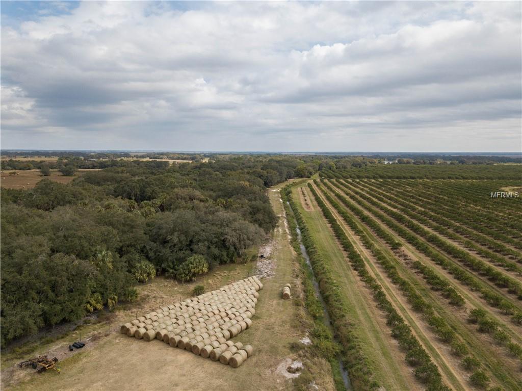 Hay Avenue - Photo 1