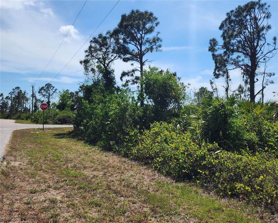 12282 Appleberg Circle - Photo 1