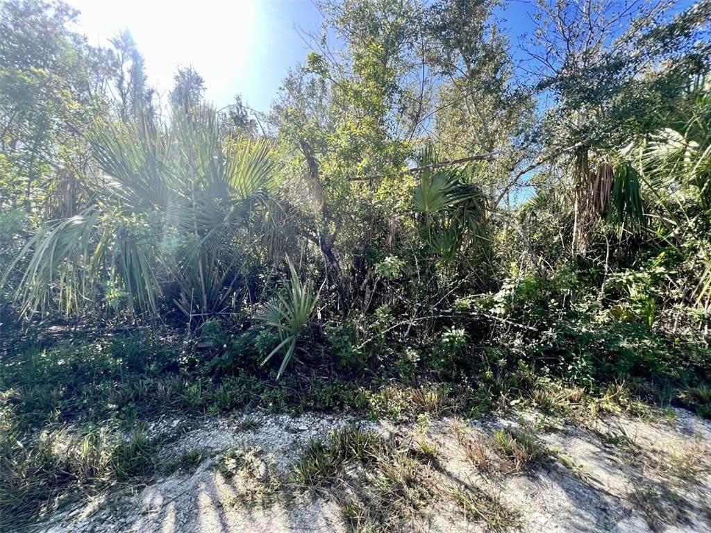 27275 Las Lomas Drive - Photo 1