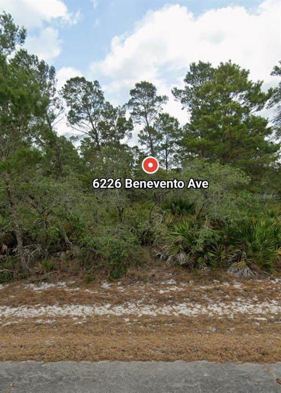 6226 Benevento Avenue - Photo 1