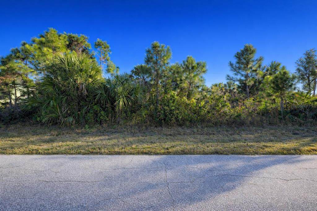 12121 Snow Bird Avenue - Photo 1