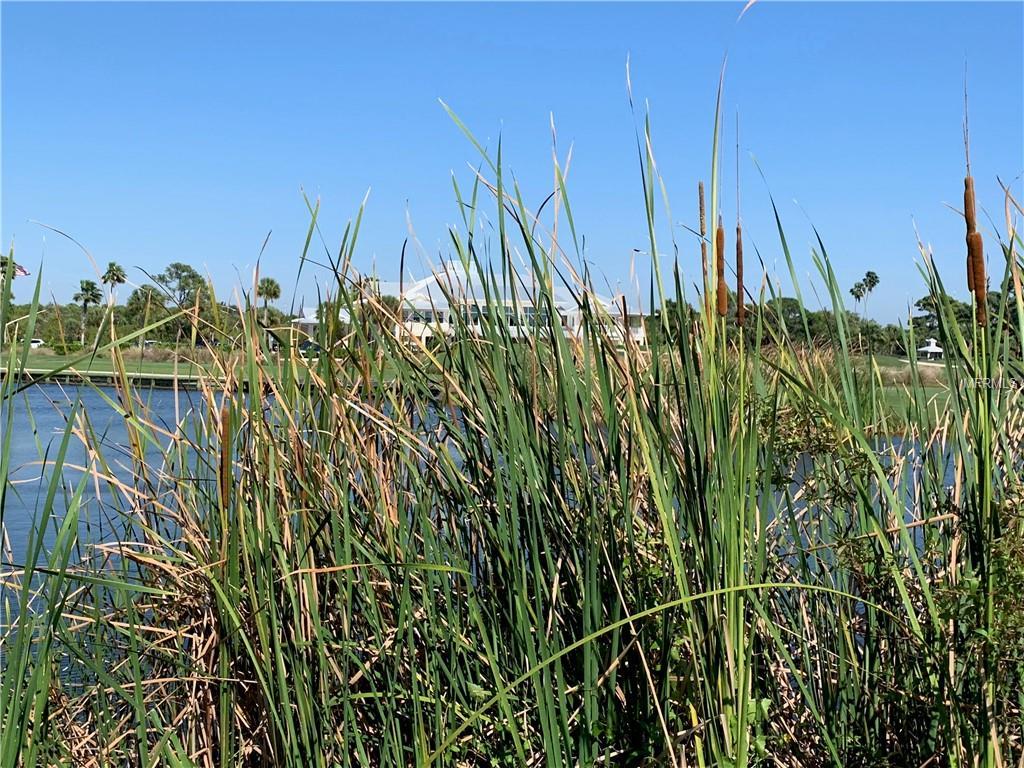 9800 Eagle Preserve Drive - Photo 1