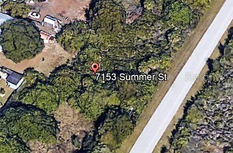 7153 Summer Street - Photo 1