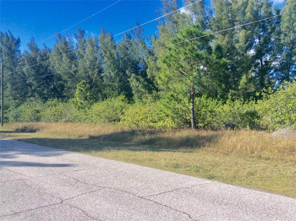 10745 Hatchett Circle - Photo 1