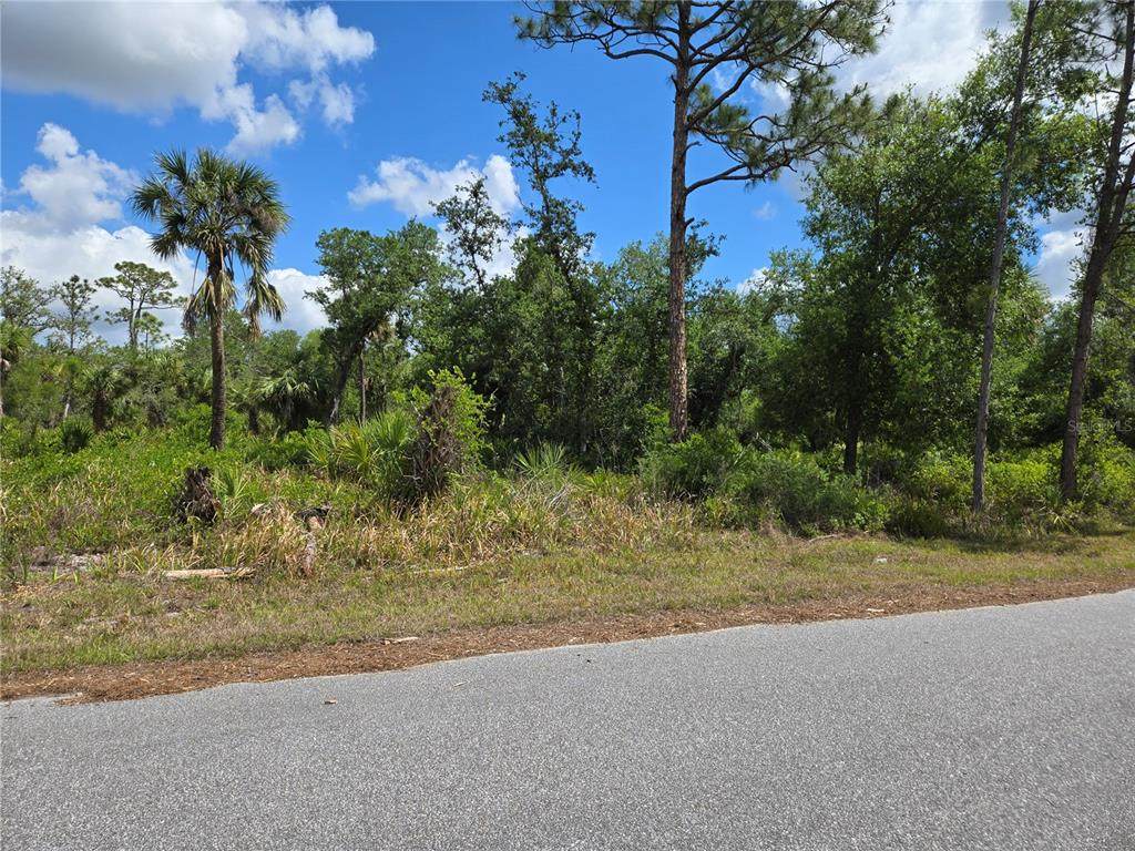 14432 Mcmillin Avenue - Photo 1