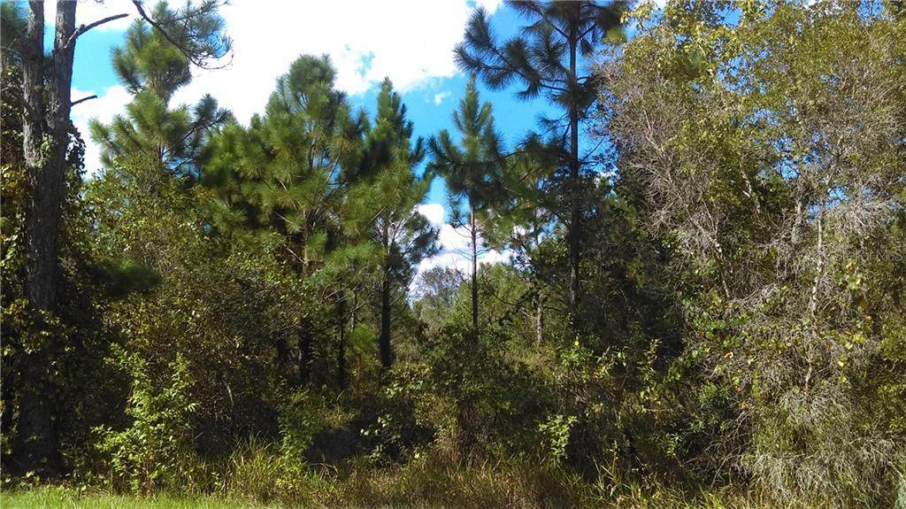 Salyer's Road - Photo 1