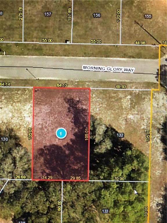 14234 Morning Glory Way - Photo 1