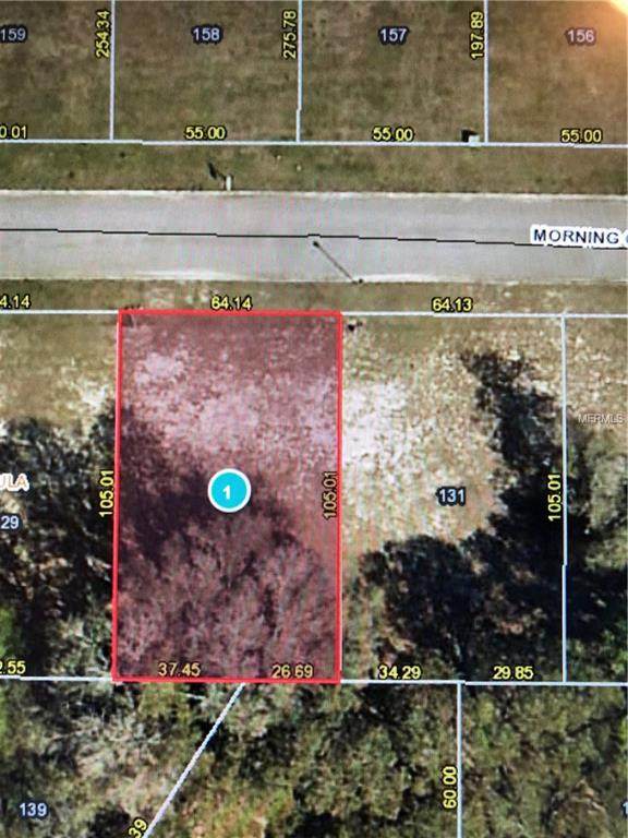 14228 Morning Glory Way - Photo 1