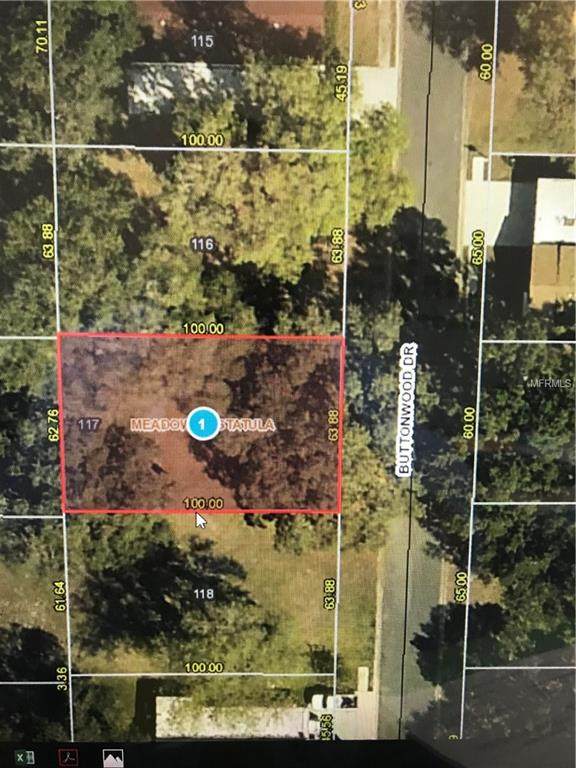 25133 Buttonwood Drive - Photo 1