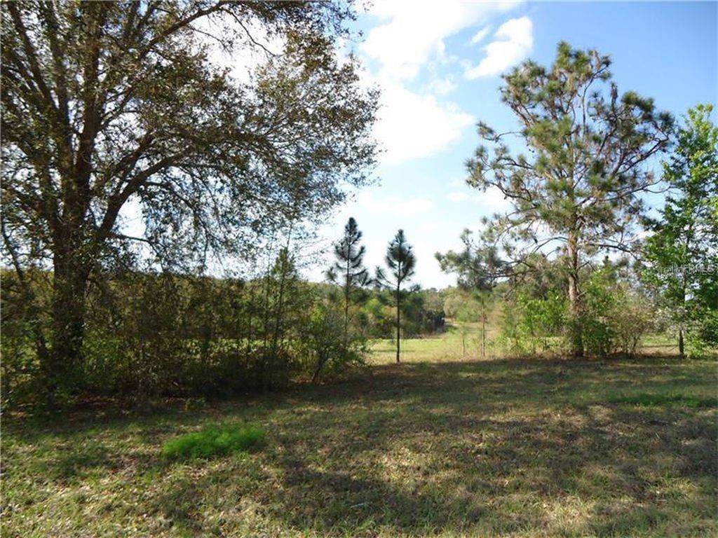 41509 Saddle Ridge Lane - Photo 1