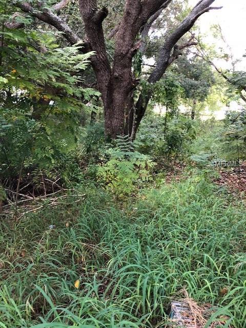 217 Skyline Drive - Photo 1