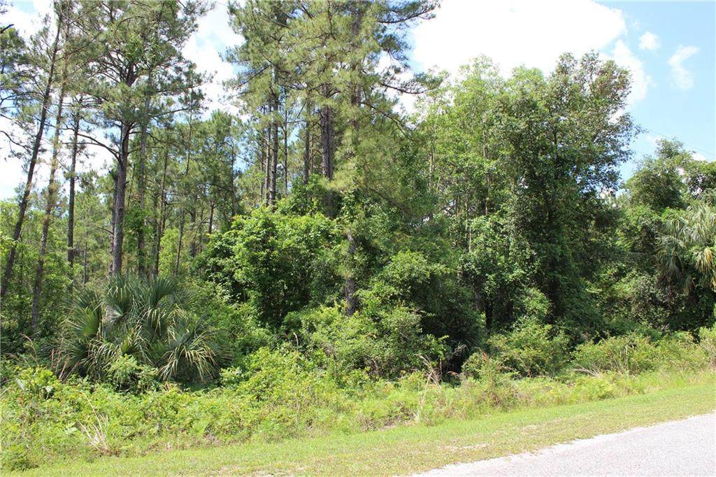 Lot 20 Apricot Avenue - Photo 1
