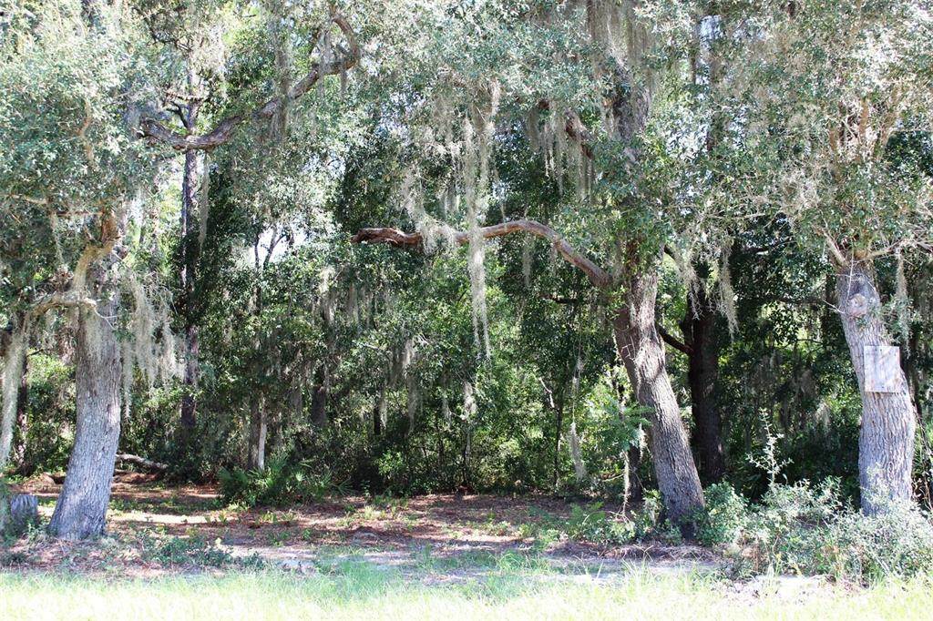 Pine Meadows Golf Course Rd - Photo 1