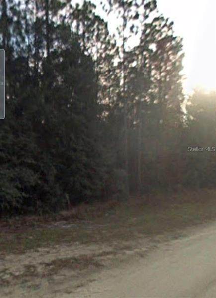 Trenton Ter Sw - Photo 1