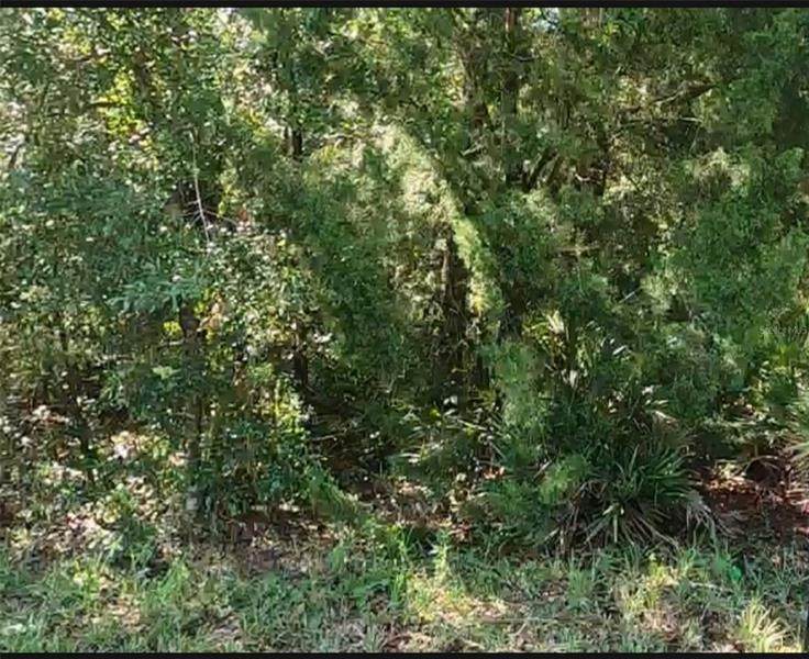 7477 Pedersen Loop - Photo 1