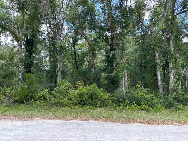6471 Otter Drive - Photo 1