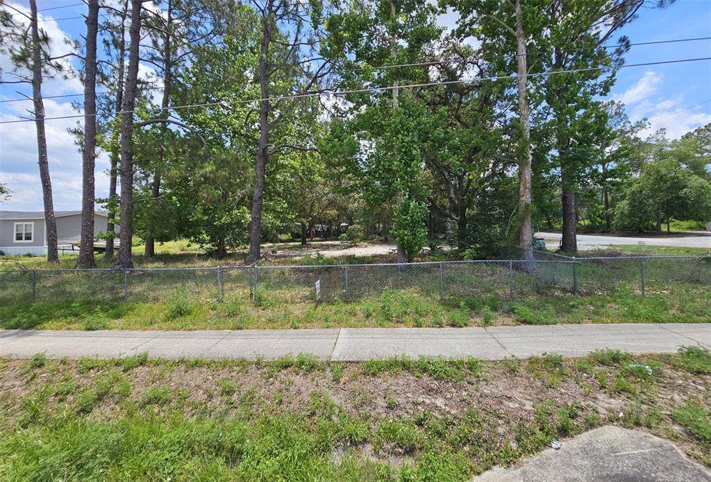 31444 State Road 44 - Photo 1