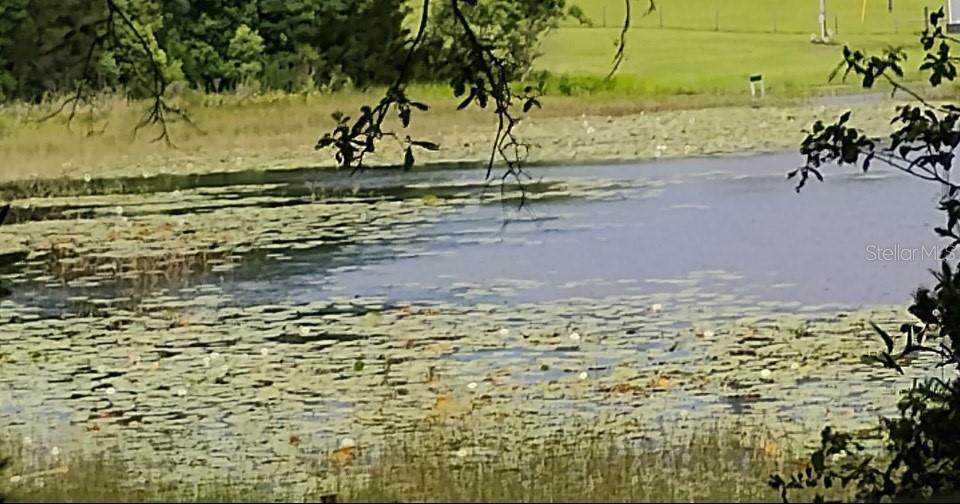  Lake Hiawatha Drive - Photo 1