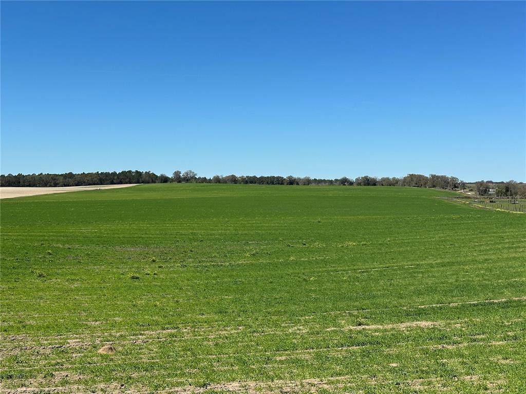 (190 AC-see addt'l P 225TH Avenue - Photo 1