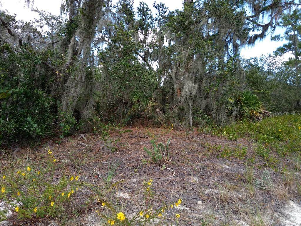 9005 Sheppard Drive - Photo 1
