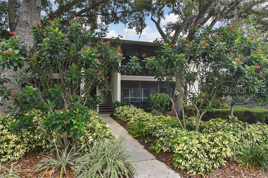 740 White Pine Tree Road - Photo 1