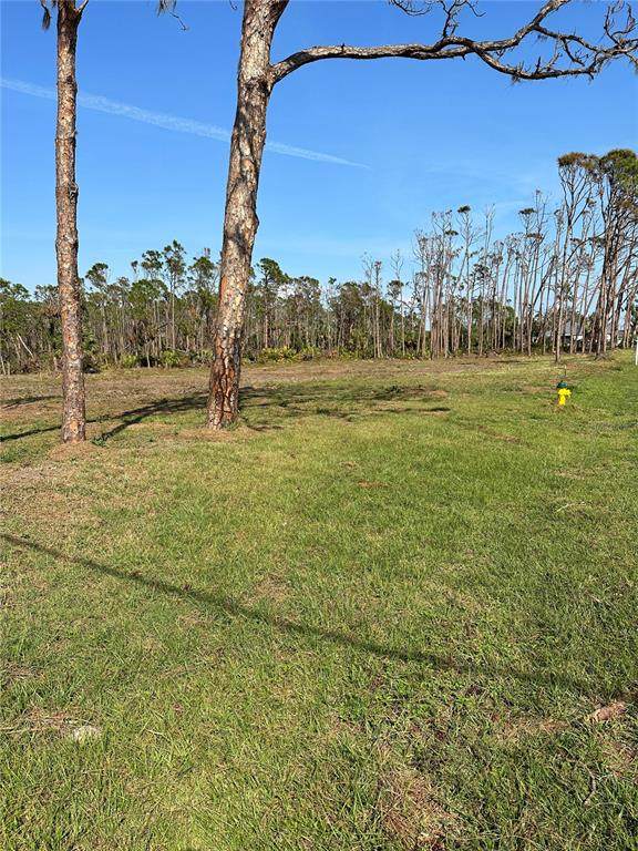 8878 Bantry Bay Boulevard - Photo 1