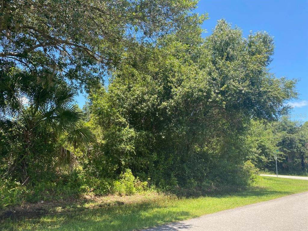 12575 Mohican Avenue - Photo 1