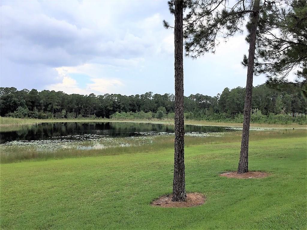 116 Greentree Lane - Photo 1