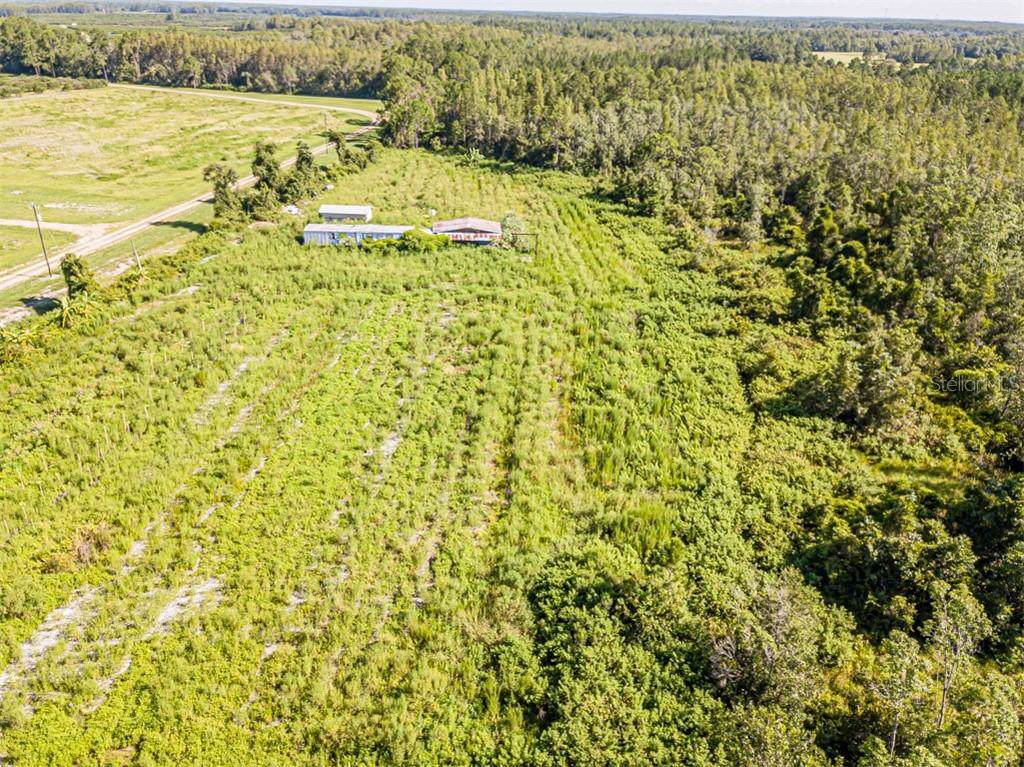 6400 Berry Groves Road - Photo 1