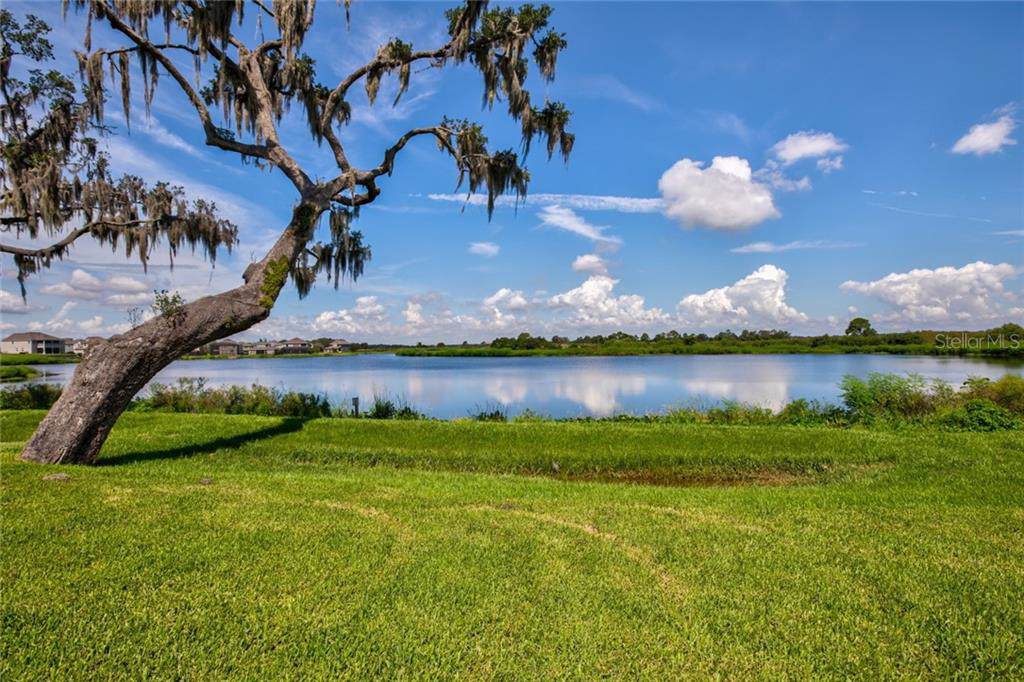 15127 Lake Claire Overlook Drive - Photo 1