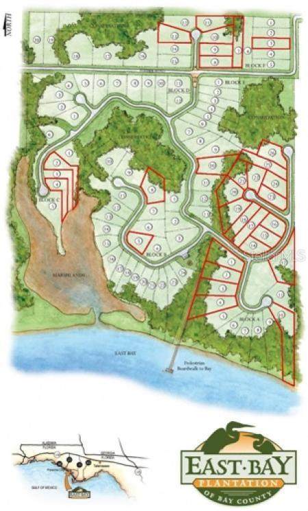 2718 Sand Flea Street - Photo 1