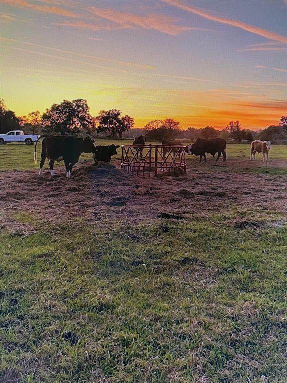 3650 95TH Street - Photo 1