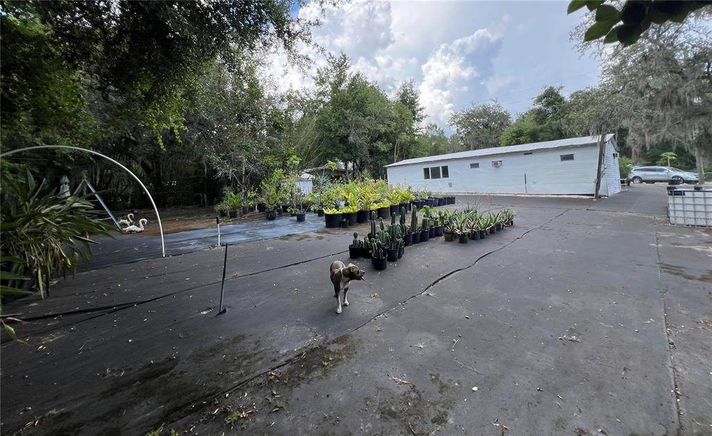 40431 Country Road - Photo 1