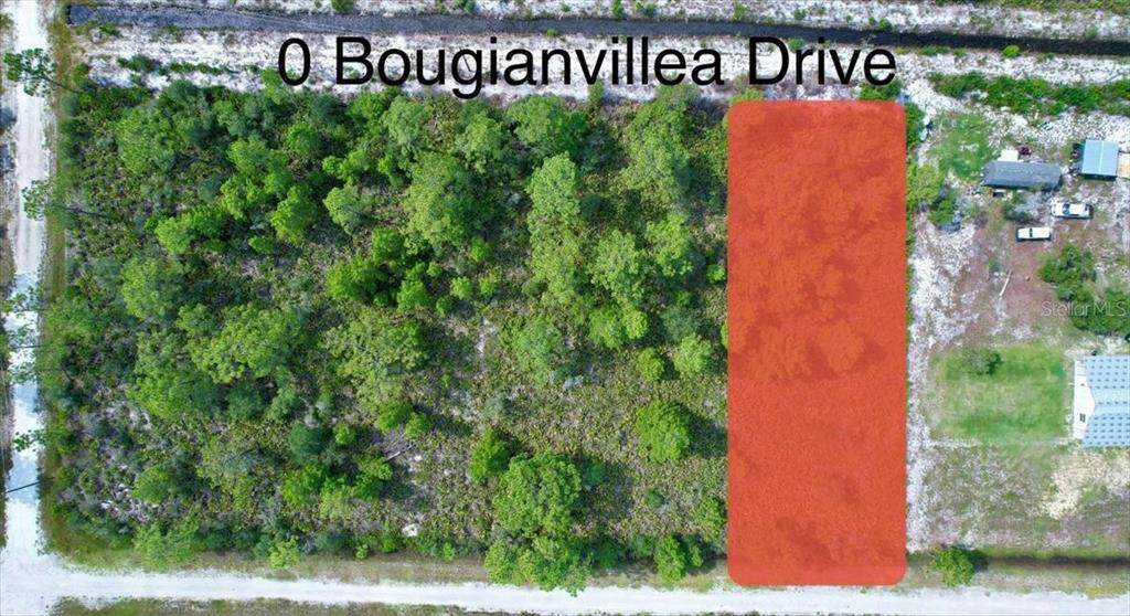 0000 Bougainville Drive - Photo 1