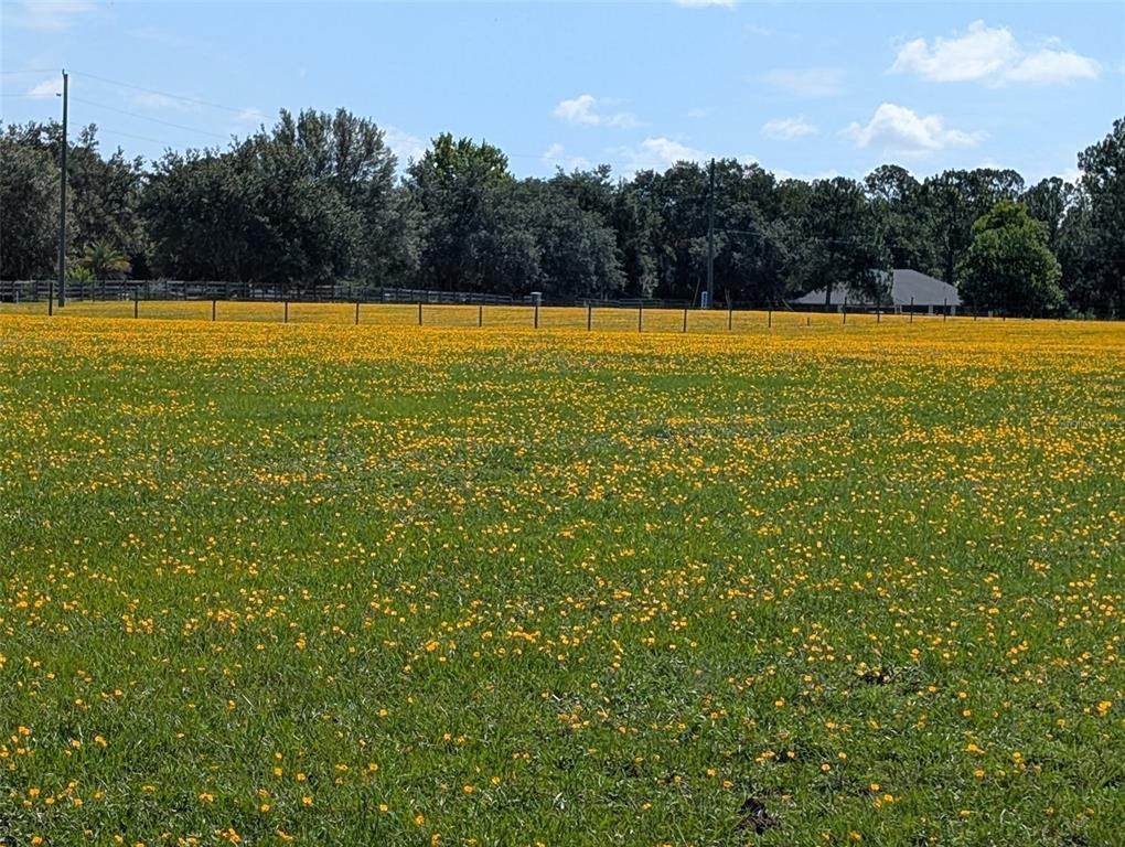  Green Swamp Road - Photo 1