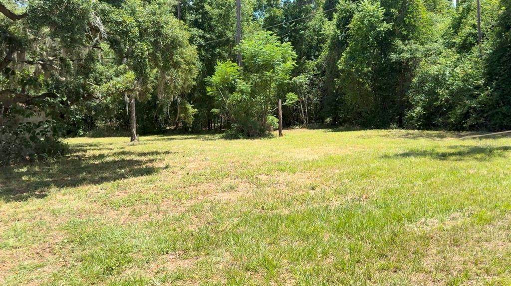 32742 Whitney Road - Photo 1