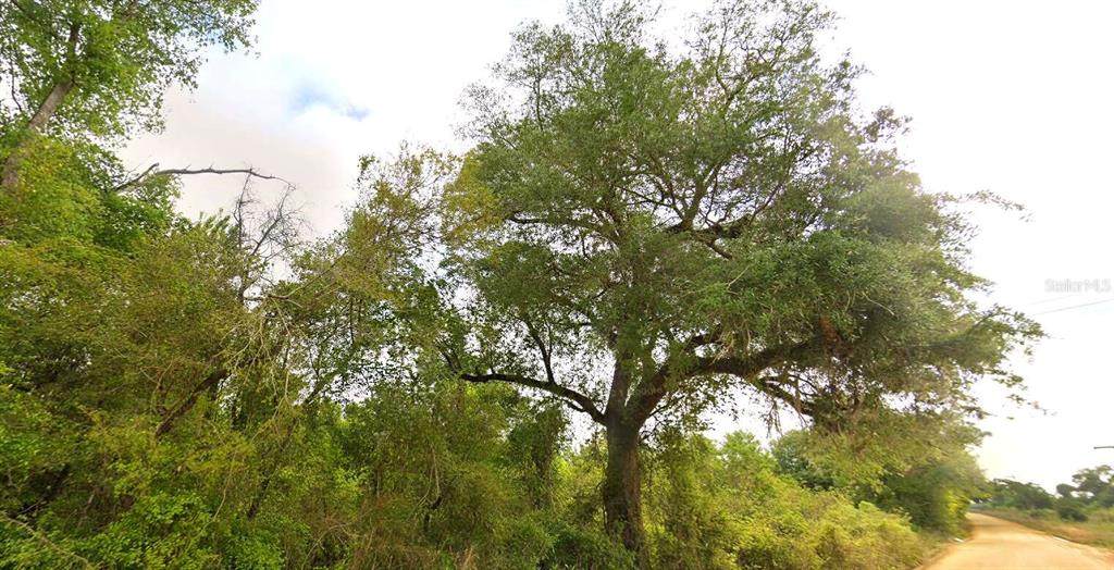  Tower Road - Photo 1