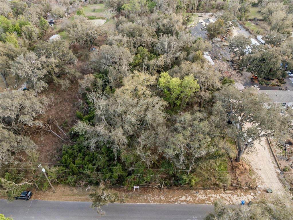 11119 Bessie Dix Road - Photo 1